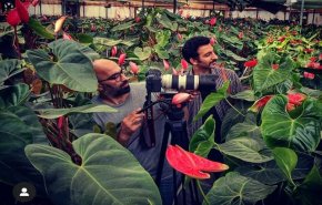 زیباترین گل های ایران در مستند «گلخانه ایرانی»