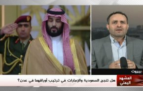 هل تنجح السعودية والإمارات في ترتيب أوراقهما في عدن؟ 