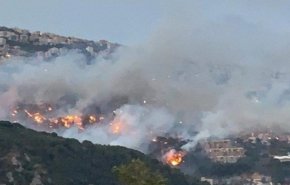 لبنان ينتظر مساعدات من الخارج لإطفاء الحرائق من الجوّ+صور