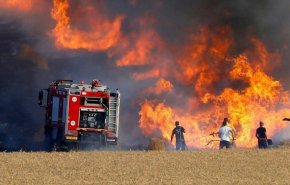 الزراعة السورية تؤكد ان حرائق الغابات في البلاد مفتعلة