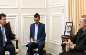 لاریجانی بر حمایت‌ ایران از حفظ تمامیت ارضی سوریه تاکید کرد