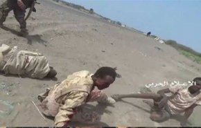 اسارت ده‌ها متجاوز سودانی به دست نیروهای یمنی