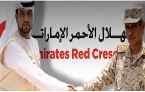سازمان هلال احمر امارات، بازوی اطلاعاتی ابوظبی در یمن