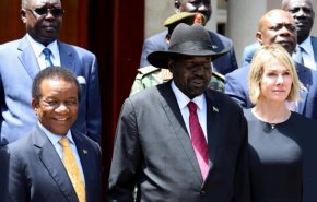 مجلس الأمن يدعو جنوب السودان إلى تشكيل حكومة شاملة
