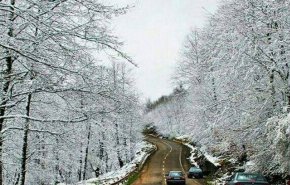 سازمان هواشناسی: برف و باران در راه است/ ۱۴ استان کشور در باران