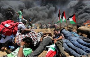 96 إصابة برصاص الاحتلال خلال جمعة 'يسقط وعد بلفور'