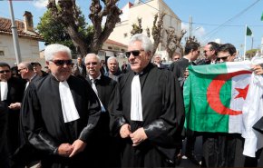 غدا ... تعليق الأنشطة القضائية في الجزائر  