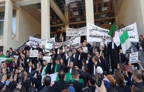 في اليوم الأول..استجابة واسعة لإضراب القضاة في الجزائر+فيديو
