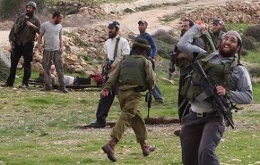 هجوم لمستوطنين في الضفة الغربية يصيب 3 مزارعين فلسطينيين