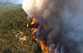 شاهد.. لماذا تشتعل الحرائق في غابات كاليفورنيا كل عام؟