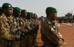 مقتل 49 جنديا بهجوم لداعش في مالي