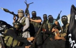 بیعت تروریست‌های بنگلادش و مصر با سرکرده جدید داعش 