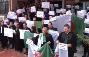 مواجهات بين قوات الأمن وقضاة مضربين في الجزائر