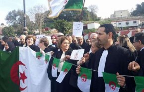  نادي القضاة الجزائري ينتقد قرار وقف الإضراب ويحذر الحكومة