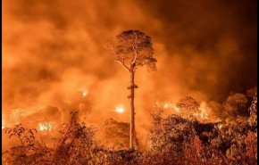 حرائق الغابات تهدد أستراليا 