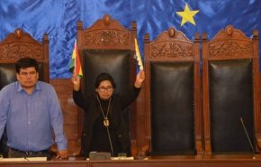 هم‌حزبی «مورالس» رئیس جدید سنای بولیوی شد