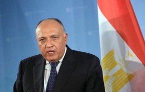 مصر تعلق على عمل اللجنة الدستورية السورية
