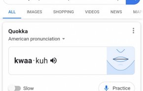گوگل به اصلاح تلفظ واژگان انگلیسی کاربران کمک می‌کند