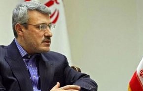بعیدی‌نژاد به توییت ضد ایرانی سفیر آمریکا واکنش نشان داد