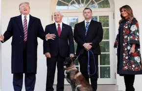 شاهد..تكريم الكلب 'كونان' في البيت الأبيض 
