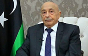 رئيس النواب الليبي في مصر واليونان للحشد ضد حكومة السراج