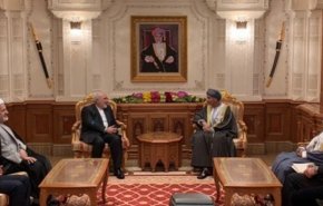 ظريف يلتقي نائب رئيس الوزراء العماني