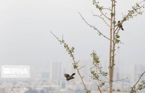 کیفیت هوای تهران همچنان ناسالم برای گروه‌های حساس