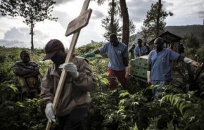 5 قتلى في انفجار قذيفة شرق الكونغو الديموقراطيّة