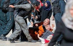 گزارشگر ویژه سازمان ملل، از تحقیقات لاهه درباره جنایات اسرائیل تمجید کرد
