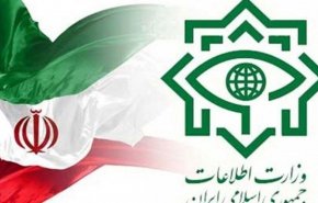 مشاور وزیر اطلاعات: امکان مهار ایران به اذعان دشمنان از بین رفته است