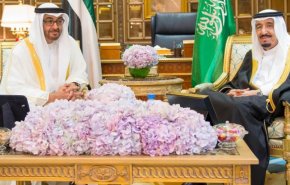 كيف ينظر بن زايد للعائلة السعودية الحاكمة؟