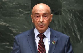البرلمان الليبي لقوات حفتر يطالب بدور عربي لمواجهة التدخل التركي في ليبيا
