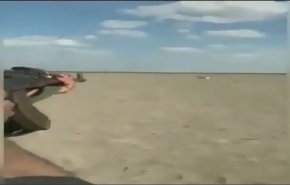 فيديو صادم لسعودي يصطاد الظباء بسلاح رشاش