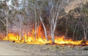 تجدد الحرائق في أستراليا