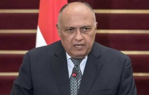 وزير الخارجية المصري: تم استقدام 