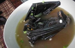 بالفيديو: حساء الخفافيش وراء انتشار كورونا!