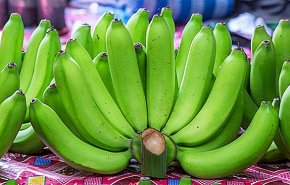 منها تناول الموز الأخضر.. 9 نصائح تساعد على إطالة عمرك