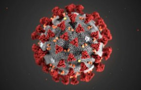 اخبار جدید از ویروس کرونا| 7800 مبتلا و 170 کشته تا کنون/ درخواست بهداشت جهانی از دولت‌ها برای آماده‌باش