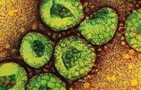 ویروس کرونا| افزایش تعداد قربانیان به 563 نفر؛ 31 کشور درگیر هستند