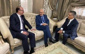 رئيس الحكومة التونسية يجتمع بالغنوشي والقروي 
