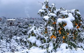 هواشناسی ایران ۹۸/۱۱/۲۲| تداوم بارش برف و کاهش ناگهانی دما در کشور