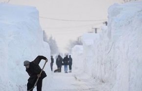 ۷ کشته و ۷۸ مصدوم بر اثر بارش سنگین برف در گیلان