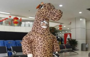 سيدة صينية تزور والدها المصاب بـ'كورونا' مرتدية لباس زرافة‎ 