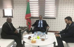 وزير الاقتصاد الموريتاني يلتقي بممثل صندوق النقد