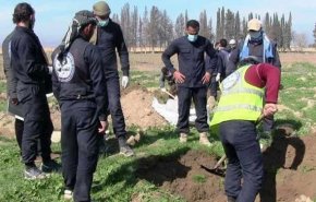 کشف گورجمعی متعلق به جنایات داعش در شمال سوریه با 145 جسد