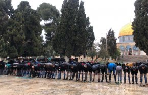 حضور هزاران فلسطینی در نماز جمعه مسجدالاقصی