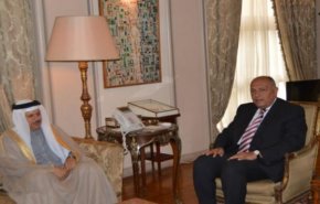 وزير الخارجية المصري يبحث مع نظيره البحريني التطورات الخاصة بسوريا