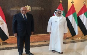 رسالة من الرئيس المصري إلى نظيره الإماراتي 