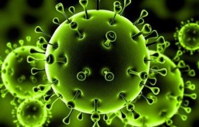 فيروس كورونا.. الشائعات حول فيروس كورونا في العالم العربي أخطر من انتشاره