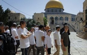 افزایش ورود صهیونیست‌ها به مسجد الاقصی